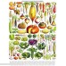 New York Puzzle Company Vegetables ~ Légumes 1000 Piece Jigsaw Puzzle B015HGRZ9A
